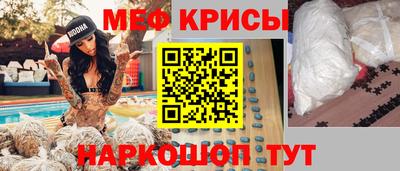 крисы Новокубанск