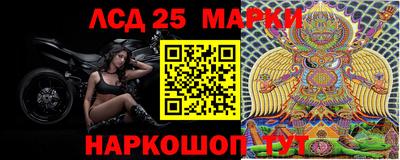 ешки Новодвинск