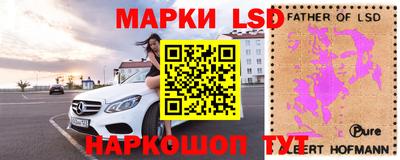 ешки Новодвинск