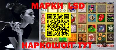 дмт Новозыбков