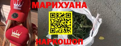 крисы Новокубанск