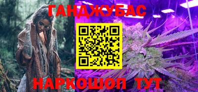 крисы Новокубанск