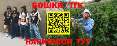 ешки Новодвинск