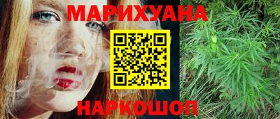 крисы Новокубанск