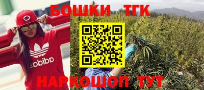 ешки Новодвинск