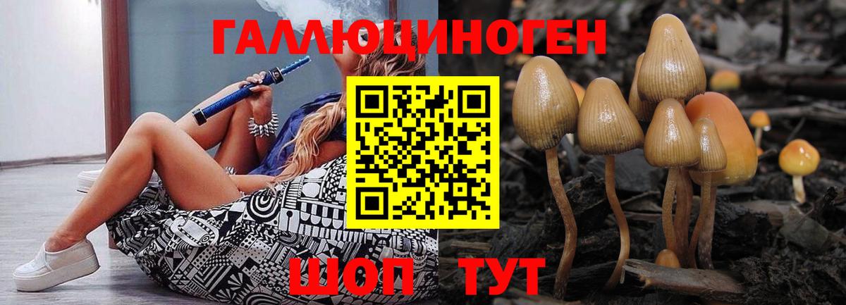 Стрежевой  Псилоцибиновые грибы прущие грибы  Галлюциногенные грибы MAGIC MUSHROOMS  Вход с VPN 